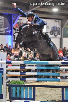 Hengstenshow JV-Horses