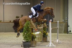LRV kent zijn pony kampioenen