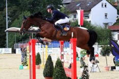 Important de Muze naar Darragh Kenny