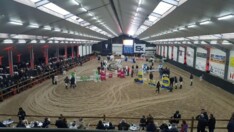 PHC Hulsterlo: 16 eindwinnaars bij de 4j