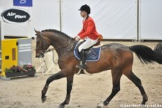 Jilbert vh Ruytershof onder Erica Swartz