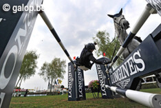Foto"s van dit weekend