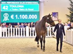 Toulon levert vice topper op PSI veiling
