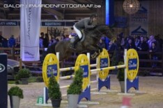 Grote leidersgroep Pavo Hengstencompetitie