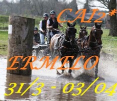 Info Ermelo CAI2*