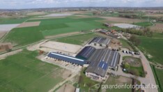 Geen ruimte meer voor Vlaamse hobbyfokker