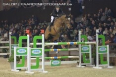 Hengstencompetitie Gesves: Jackson de Regor