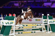 PHC: 6 Hengsten met 4 op 4 bij de 4-jarigen