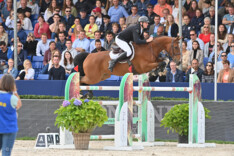 Vereecke en Philippe springen op het podium in Zandhoven!