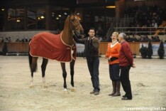 Action Breaker & Toulon leveren premiehengst