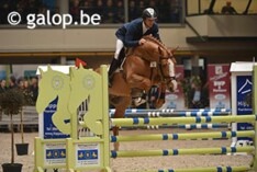 Dekhengst Joepie vd Wateringhoeve als leider naar BWP-finale Lummen