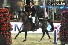 Constant Van Paesschen wint 3de keer in CSI4