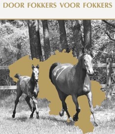 DFVF bezoekt Krismar Stables