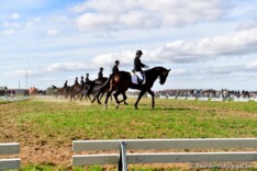 LRV-Provincies vullen groepsdressuur vrij in