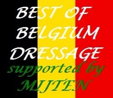 Foto's prijsuitreiking Best of Belgium 2016