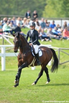 Winnende zoon Elvis ter Putte naar De Roock