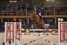 Lier: Don's Diamant derde in GP-kwalificatie
