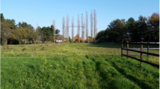 Te Huur paardenaccomodatie
