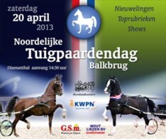 Balkburg, Noordelijke Tuigpaardendag