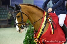 De Flor 111 Z niet aan start Hengstencomp.