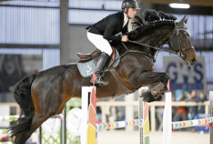 Finale van  Lannoo Belgian Stallion Competition powered by EuroHorse kondigt zich als bijzonder spannend en interessant aan