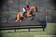 Lore Poelmans wint LRV-eventing Lummen