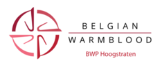 Showdag Jonge Belgische Paarden