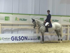 Wathelet wint openingsproef CSI3* Luik