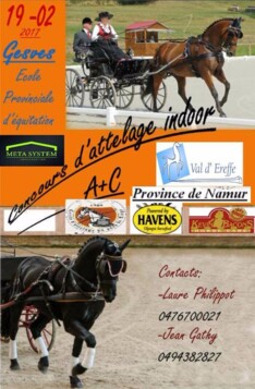 Gesves Indoor A+C, uitslagen 19/02/2017