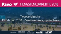 De beste Jonge Paarden in Sentower Park!