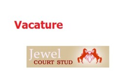 Jewel Court Stud is op zoek naar voltijdse groom