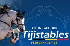 Tim van Tricht over Tiji Stables