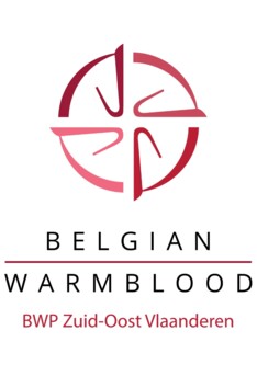 Finale Open Kampioenschap Vrijspringen