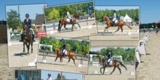 Heel veel dressuurkwaliteit tijdens Finale van de SBB-Competitie voor Jonge Paarden