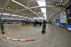 Nationale merrieprijskamp BWP