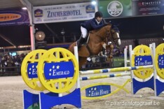 Jonge hengst Mallito naar Stal van Asten