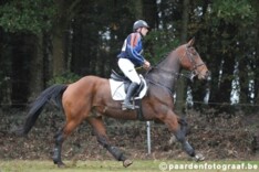 Sven Grouwels wint eventing in Overpelt