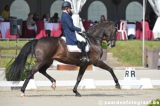 Donnerfee op plaats 20 in WBFSH-ranking dressuurpaarden