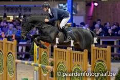 Foto's Hengstencompetitie WEN zijn online