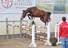 Josje vd Heffinck wint finale vrijspringen