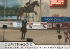 Video Cumthago C finale Hengstencompetitie