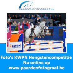 Foto's Hengstencompetitie KWPN online!