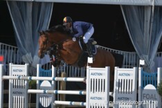 CSI2* Oliva: Belgen doen het goed in 1m40
