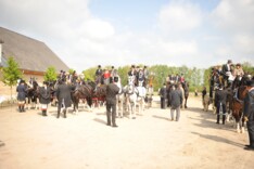 Coach Meeting Hoofdstadaanspanning afgelast
