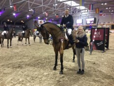 CSI2* Lier: Mathias Hazebroek in de top 10!