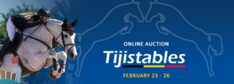 Online Auction voor Tiji Stables