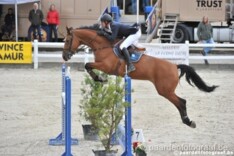 Vilamoura: Belgische jonge paarden aan winst