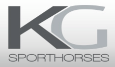 K&G sporthorses is op zoek naar :