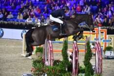 CSI5* Treffen: Vermeir 3de in hoofdrubriek!