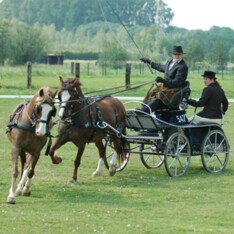 Puurs, laatste inschrijfdag - 18 maart